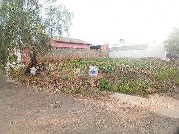 Rua Feies buassali, 155