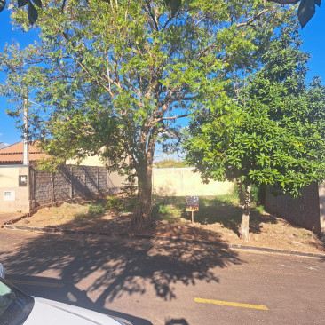 Rua José Alves da Cunha, 50