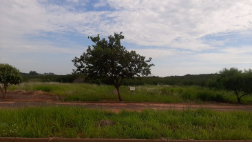 Alameda das Acacias, s/n