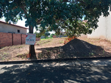 Rua José Alves da Cunha, s/n