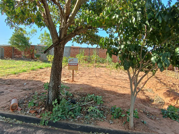 Rua Antônio Dionizio da Silva, 120