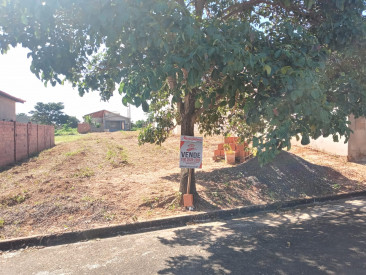 Rua José Alves da Cunha, s/n