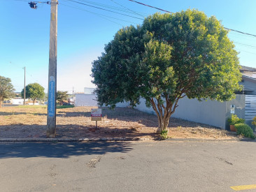 Rua Joaquim Olimpio Credendio, s/n