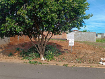 Rua Sumaúma, s/n