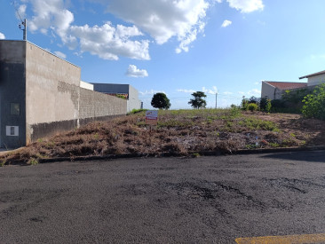 Rua Joaquim Olympio Credendio, s/n