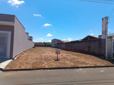 Rua Pastor Misael Francisco da Silva, lado da casa 220