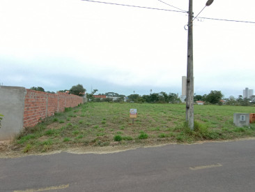 Rua Carolina Conti Moreno, s/n