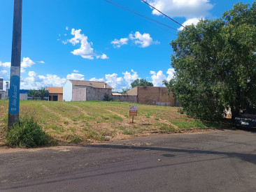 Rua Feies Buassali, S/N