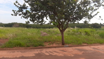 Alameda das Acacias, s/n