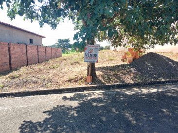 Rua José Alves da Cunha, s/n