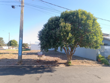 Rua Joaquim Olimpio Credendio, s/n