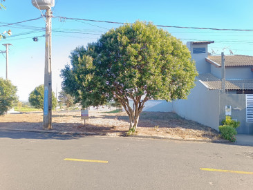 Rua Joaquim Olimpio Credendio, s/n