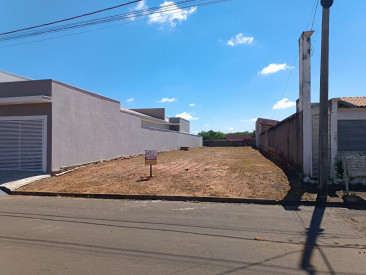 Rua Pastor Misael Francisco da Silva, lado da casa 220