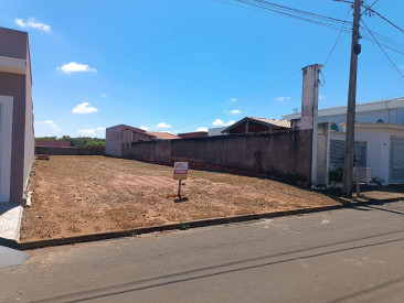 Rua Pastor Misael Francisco da Silva, lado da casa 220