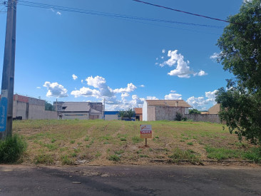 Rua Feies Buassali, S/N