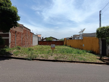 Rua José Gouveia Junior, s/n