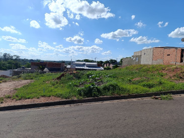 Rua João Estevam, S/N