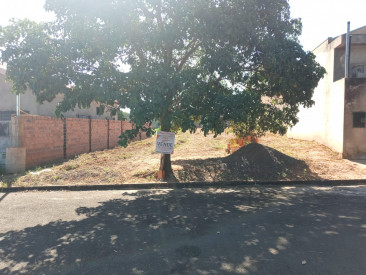 Rua José Alves da Cunha, s/n