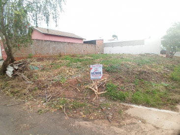 Rua Feies buassali, 155